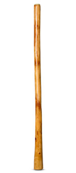 High Gloss Finish Didgeridoo (NW148)